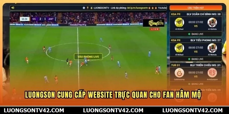 Luongson cung cấp website trực quan cho fan hâm mộ
