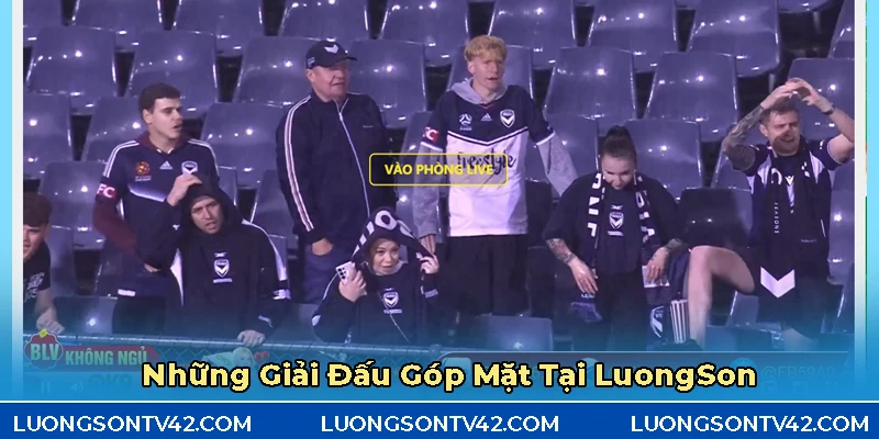 Những giải đấu góp mặt tại bảng lịch thi đấu mỗi ngày của Lương Sơn